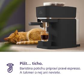 Automatický kávovar Philips BAR300/60 čierny

 obrázok produktu 12 z 14