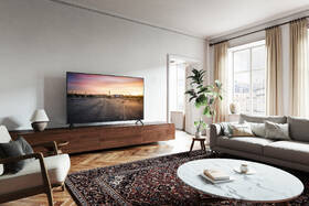 Televízor Panasonic TV-55W90AEG 

 obrázok produktu 11 z 11