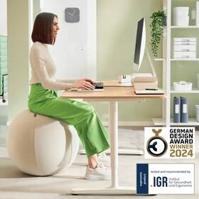 Sedacia lopta Leitz Ergo Anti-Roll Light Grey, 55cm sivý

 obrázok produktu 1 z 10