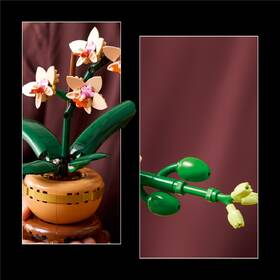 Stavebnica LEGO® Botanicals 10343 Miniaturní orchidej 

 obrázok produktu 2 z 9