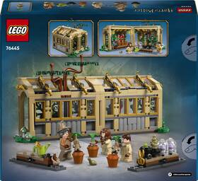 Stavebnica LEGO® Harry Potter™ 76445 Rokfortský hrad: Hodina herbológie 

 obrázok produktu 4 z 7