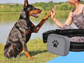 GPS lokátor Carneo DogSAFE+ čierny

 obrázok produktu 9 z 16