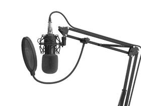 Mikrofón Genesis RADIUM 300, XLR čierny

 obrázok produktu 9 z 12