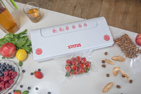 Sada pre vákuovanie Status HV100 199172, 11 dílů 

 obrázok produktu 11 z 18