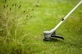 Kosačka strunová Bosch AdvancedGrassCut 36V-33 (s batériou) 

 obrázok produktu 2 z 6