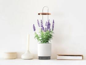 Inteligentný kvetináč Click and Grow HydroVase biely

 obrázok produktu 3 z 6