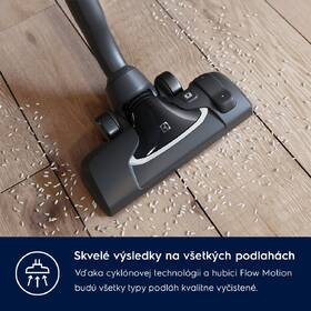 Podlahový vysávač Electrolux PD91-8SSM zlatý

 obrázok produktu 13 z 21