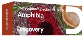 Sada Discovery Prof Specimens DPS 5 „OBOJŽIVELNÍCI“ 

 obrázok produktu 1 z 1