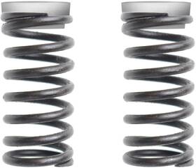 Pružina Sencor SCOOTER FRONT SPRINGS 23S 

 obrázok produktu 1 z 1