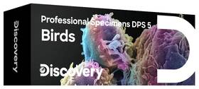 Sada Discovery Prof Specimens DPS 5. „PTÁCI“ 

 obrázok produktu 1 z 1