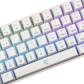 Klávesnica White Shark SHINOBI 2, CZ/SK layout, Red switch biela

 obrázok produktu 2 z 12