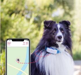 GPS lokátor Tractive DOG 4 LTE – sledování polohy a aktivity pro psy biely

 obrázok produktu 2 z 9