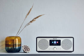Internetový rádioprijímač s DAB+ Panasonic RF-D40EG-K čierny/strieborný

 obrázok produktu 10 z 11