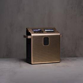 Prenosný reproduktor Mondo Speaker Medium zlatý

 obrázok produktu 5 z 6