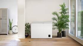 Mraznička Gorenje FHC30C6W5 biela

 obrázok produktu 9 z 9