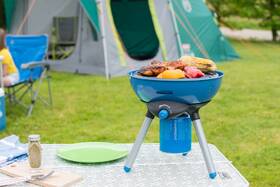 Gril záhradný plynový Campingaz Party Grill 200 

 obrázok produktu 12 z 12