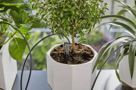Súprava na zavlažovanie Gardena 13366 

 obrázok produktu 6 z 6