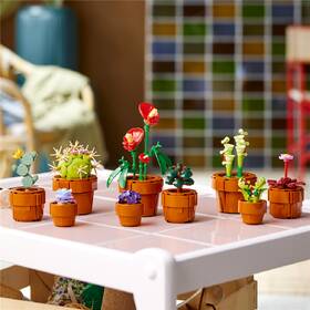 Stavebnica LEGO® Botanicals 10329 Miniaturní rostliny 

 obrázok produktu 2 z 8