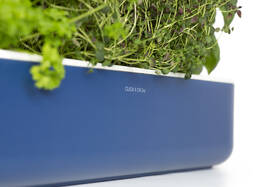 Inteligentný kvetináč Click and Grow Smart Garden 9 

 obrázok produktu 4 z 7