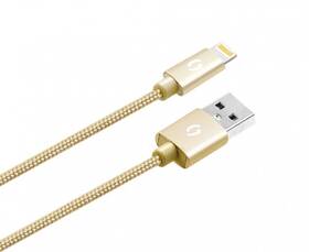 Kábel Aligator Premium USB/Lightning, 2m zlatý

 obrázok produktu 2 z 7
