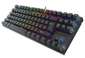 Klávesnica Genesis THOR 303, TKL, CZ/SK layout čierna

 obrázok produktu 2 z 7