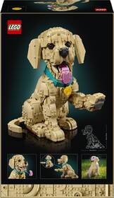 Stavebnica LEGO® Icons 11384 Štěně zlatého retrívra 

 obrázok produktu 4 z 9