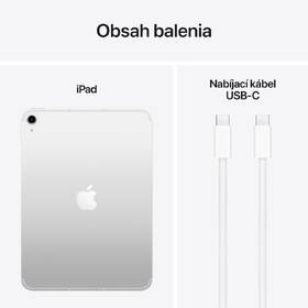 Tablet Apple 11" (2025) Wi-Fi + Cellular 512GB - strieborný 

 obrázok produktu 8 z 8