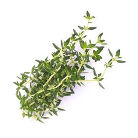 Semienka Véritable Lingot Tymian - BIO 

 obrázok produktu 1 z 2