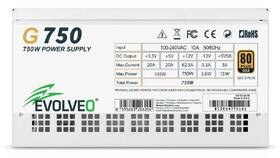 Zdroj Evolveo G750 White 750W 80+ Gold, ATX 3.1 biely

 obrázok produktu 7 z 11