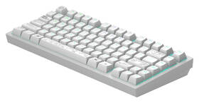 Klávesnica Dark Project ALU Terra Nova R2  US biela

 obrázok produktu 4 z 8