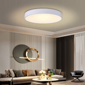 LED stropné svietidlo IMMAX NEO RONDATE SLIM SMART, 80 cm, 65W, Zigbee 3.0, Tuya biele

 obrázok produktu 3 z 9