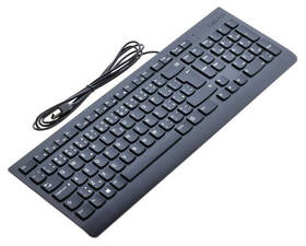 Klávesnica Lenovo 300 USB, CZ/SK layout čierna

 obrázok produktu 3 z 3