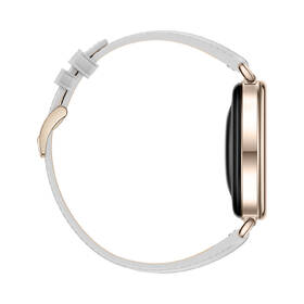 Inteligentné hodinky Huawei Watch GT 7 41 mm sivé

 obrázok produktu 6 z 6