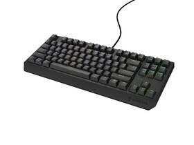 Klávesnica Genesis THOR 230, TKL, RGB, Outemu Brown, US layout čierna

 obrázok produktu 3 z 8