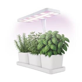 Lampa na pestovanie EMOS na bylinky, 7 W, stmievanie, LED integrované, IP20 biela

 obrázok produktu 6 z 9
