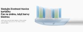 Náhradné hlavice Xiaomi MBS308 Oscillation Electric Toothbrush Replacement Heads (Clean) biela

 obrázok produktu 4 z 5