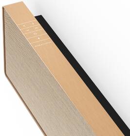 Soundbar Bang & Olufsen BeoSound STAGE zlatý

 obrázok produktu 1 z 3