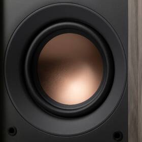 Reproduktory Swan Oasis 140 (2 ks) hnedé

 obrázok produktu 11 z 14
