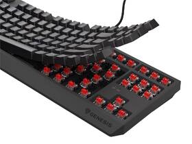 Klávesnica Genesis THOR 230, TKL, RGB, Outemu Red, CZ-SK layout čierna

 obrázok produktu 13 z 19