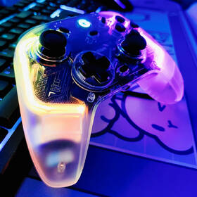 Gamepad GameSir T4 Kaleid RGB čierny/priehľadný

 obrázok produktu 7 z 12