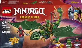 Stavebnica LEGO® NINJAGO® 71829 Lloydov zelený lesný drak 

 obrázok produktu 4 z 9