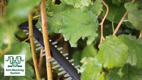 Nožnice na živý plot Bosch Advanced HedgeCut 36V (bez batérie) 

 obrázok produktu 5 z 9