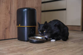 Inteligentný podávač EMOS GoSmart Pet Care s kamerou, 4 l, Wi-Fi čierne

 obrázok produktu 12 z 17