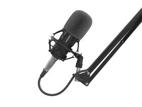 Mikrofón Genesis RADIUM 300, XLR čierny

 obrázok produktu 4 z 12
