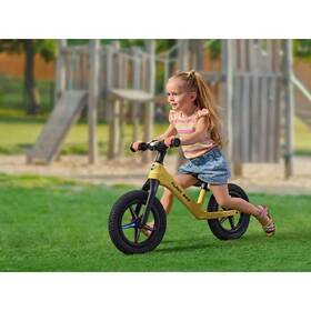 Odrážadlo Buddy Toys BPB 2516 žlté

 obrázok produktu 7 z 7