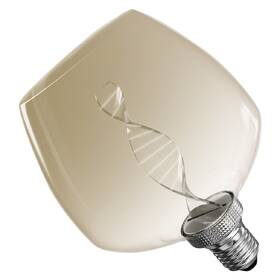LED žiarovka EMOS DECO S123 "DNA", 3,5 W, 130 lm, E27, teplá biela+ 

 obrázok produktu 2 z 6