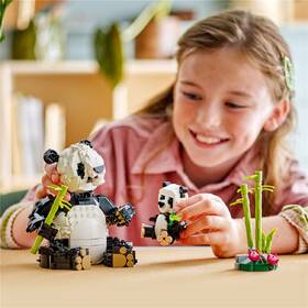 Stavebnica LEGO® Creator 3 v 1 31165 Divoká zvířata: Pandí rodinka 

 obrázok produktu 6 z 7