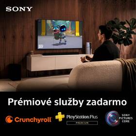 Televízor Sony Bravia 3 85" 

 obrázok produktu 12 z 12