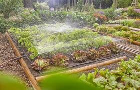Súprava na zavlažovanie Gardena MicroDrip System 13450-20 

 obrázok produktu 4 z 5