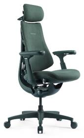Ergonomická stolička LiberNovo Omni, 48 cm zelená

 obrázok produktu 3 z 9